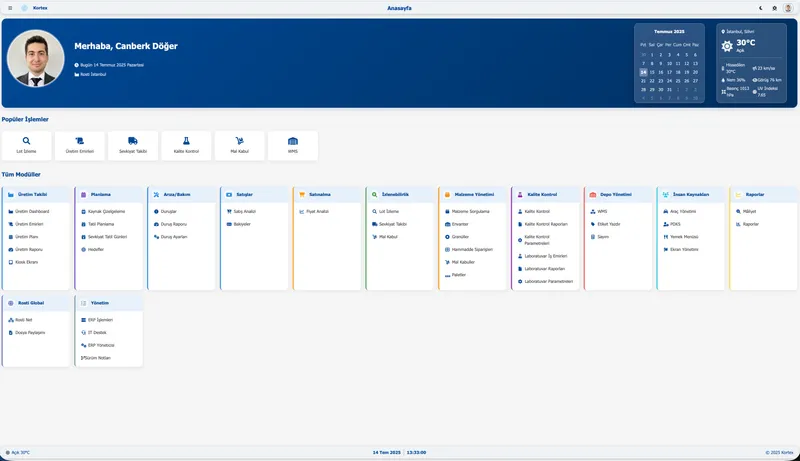 Kortex BI - İş Zekası Yazılımı
